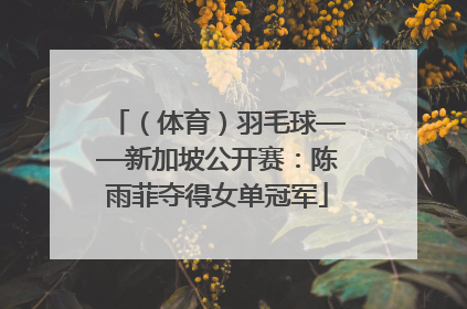 （体育）羽毛球——新加坡公开赛：陈雨菲夺得女单冠军