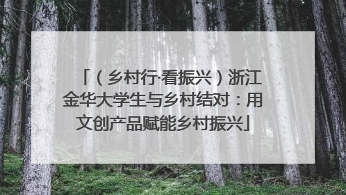 （乡村行·看振兴）浙江金华大学生与乡村结对：用文创产品赋能乡村振兴