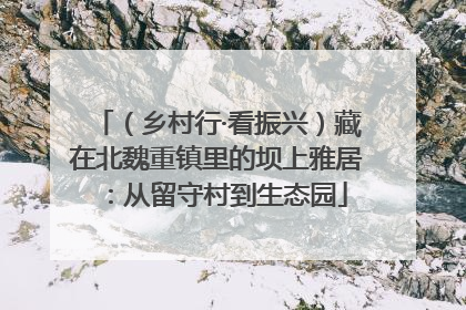 （乡村行·看振兴）藏在北魏重镇里的坝上雅居：从留守村到生态园