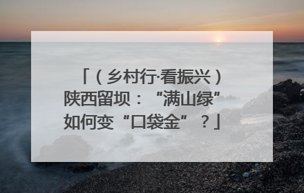 （乡村行·看振兴）陕西留坝：“满山绿”如何变“口袋金”？