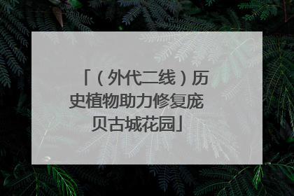 （外代二线）历史植物助力修复庞贝古城花园