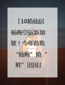 10箱仙居杨梅空运新加坡！今年首批“仙梅”抢“鲜”出国