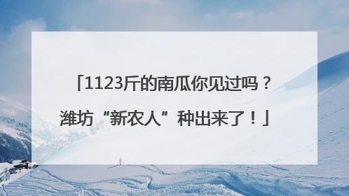 1123斤的南瓜你见过吗？潍坊“新农人”种出来了！