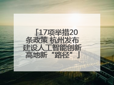 17项举措20条政策 杭州发布建设人工智能创新高地新“路径”