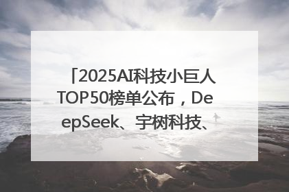2025AI科技小巨人TOP50榜单公布，DeepSeek、宇树科技、蘑菇车联等企业荣誉上榜