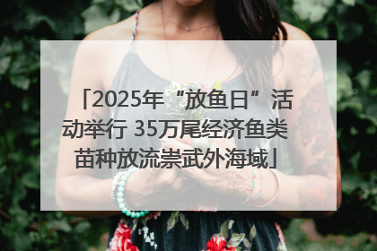 2025年“放鱼日”活动举行 35万尾经济鱼类苗种放流崇武外海域