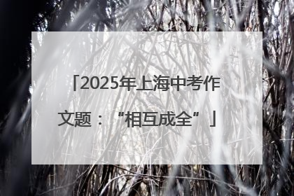 2025年上海中考作文题：“相互成全”