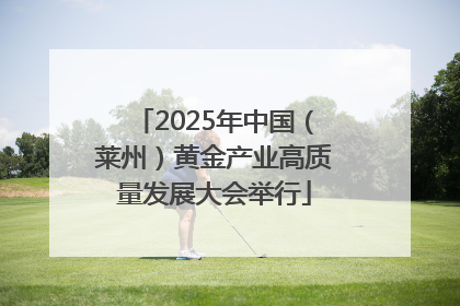 2025年中国（莱州）黄金产业高质量发展大会举行