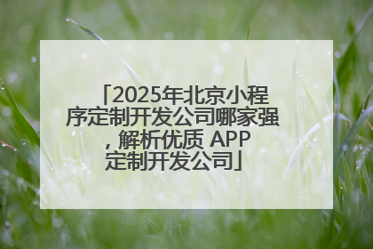 2025年北京小程序定制开发公司哪家强，解析优质 APP 定制开发公司