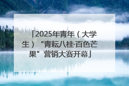 2025年青年（大学生）“青耘八桂·百色芒果”营销大赛开幕