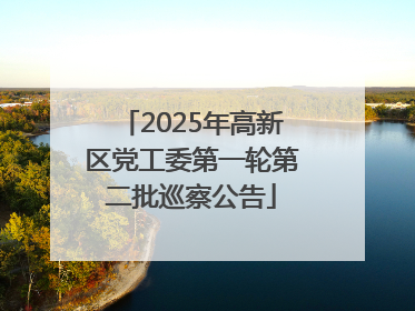 2025年高新区党工委第一轮第二批巡察公告