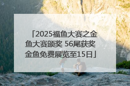 2025福鱼大赛之金鱼大赛颁奖 56尾获奖金鱼免费展览至15日