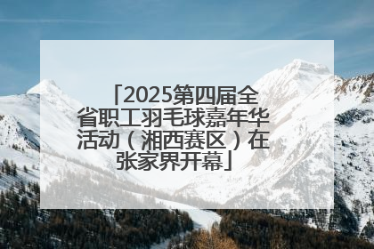 2025第四届全省职工羽毛球嘉年华活动（湘西赛区）在张家界开幕
