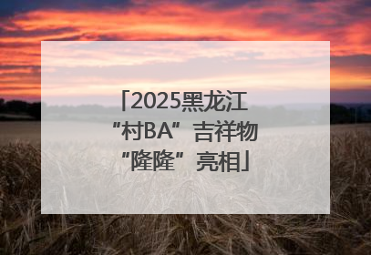 2025黑龙江“村BA”吉祥物“隆隆”亮相