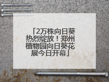 2万株向日葵热烈绽放！郑州植物园向日葵花展今日开幕