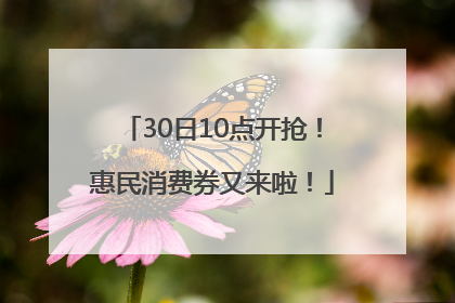30日10点开抢！惠民消费券又来啦！