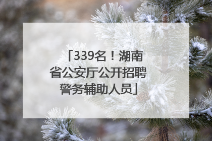339名！湖南省公安厅公开招聘警务辅助人员
