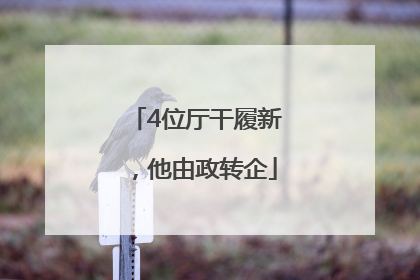 4位厅干履新，他由政转企