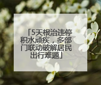 5天根治违停积水顽疾，多部门联动破解居民出行难题