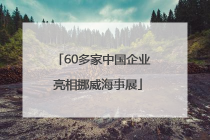 60多家中国企业亮相挪威海事展