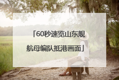 60秒速览山东舰航母编队抵港画面