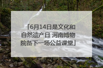6月14日是文化和自然遗产日 河南博物院备下一场公益课堂