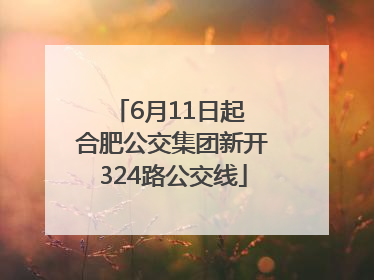 6月11日起 合肥公交集团新开324路公交线