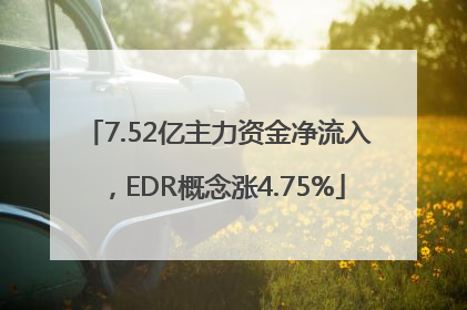 7.52亿主力资金净流入，EDR概念涨4.75%