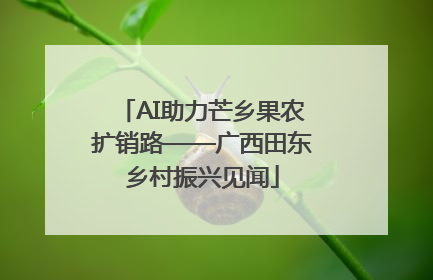 AI助力芒乡果农扩销路——广西田东乡村振兴见闻