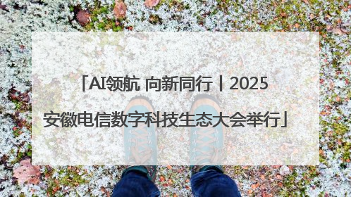 AI领航 向新同行丨2025安徽电信数字科技生态大会举行