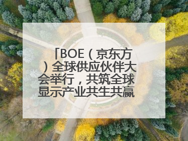 BOE（京东方）全球供应伙伴大会举行，共筑全球显示产业共生共赢新格局
