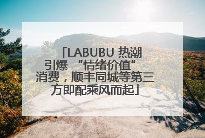 LABUBU 热潮引爆 “情绪价值” 消费，顺丰同城等第三方即配乘风而起