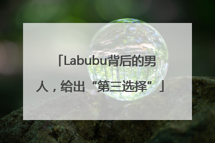 Labubu背后的男人，给出“第三选择”