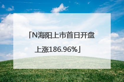 N海阳上市首日开盘上涨186.96%