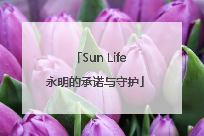 Sun Life永明的承诺与守护